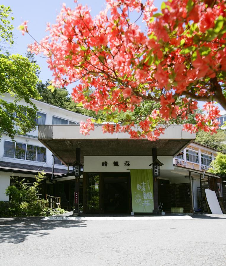 Hotel Ichikawa Bekkan Seikanso Shibukawa Exterior foto